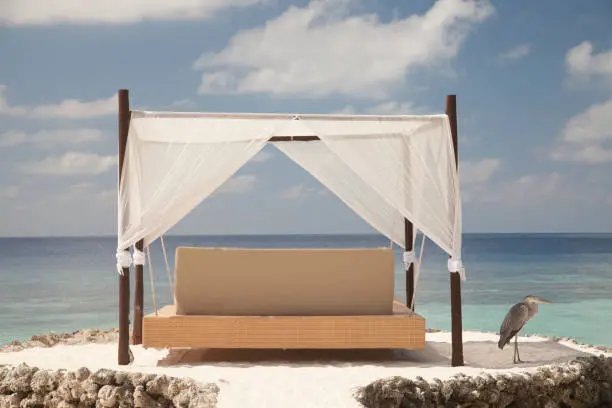 Arbor Bed Frame